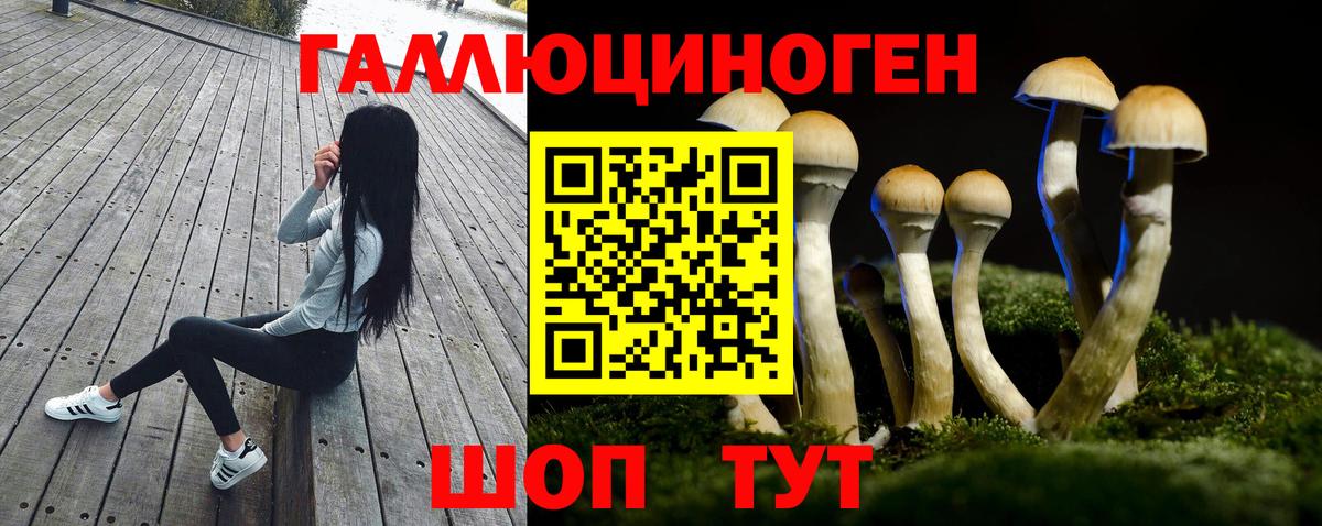 Псилоцибиновые грибы Magic Shrooms Донецк